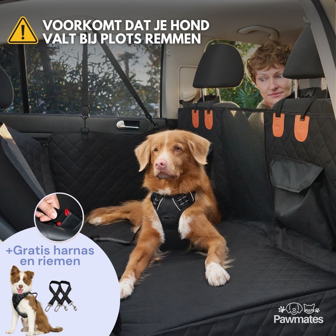 Veilig onderweg met je hond – altijd en overal