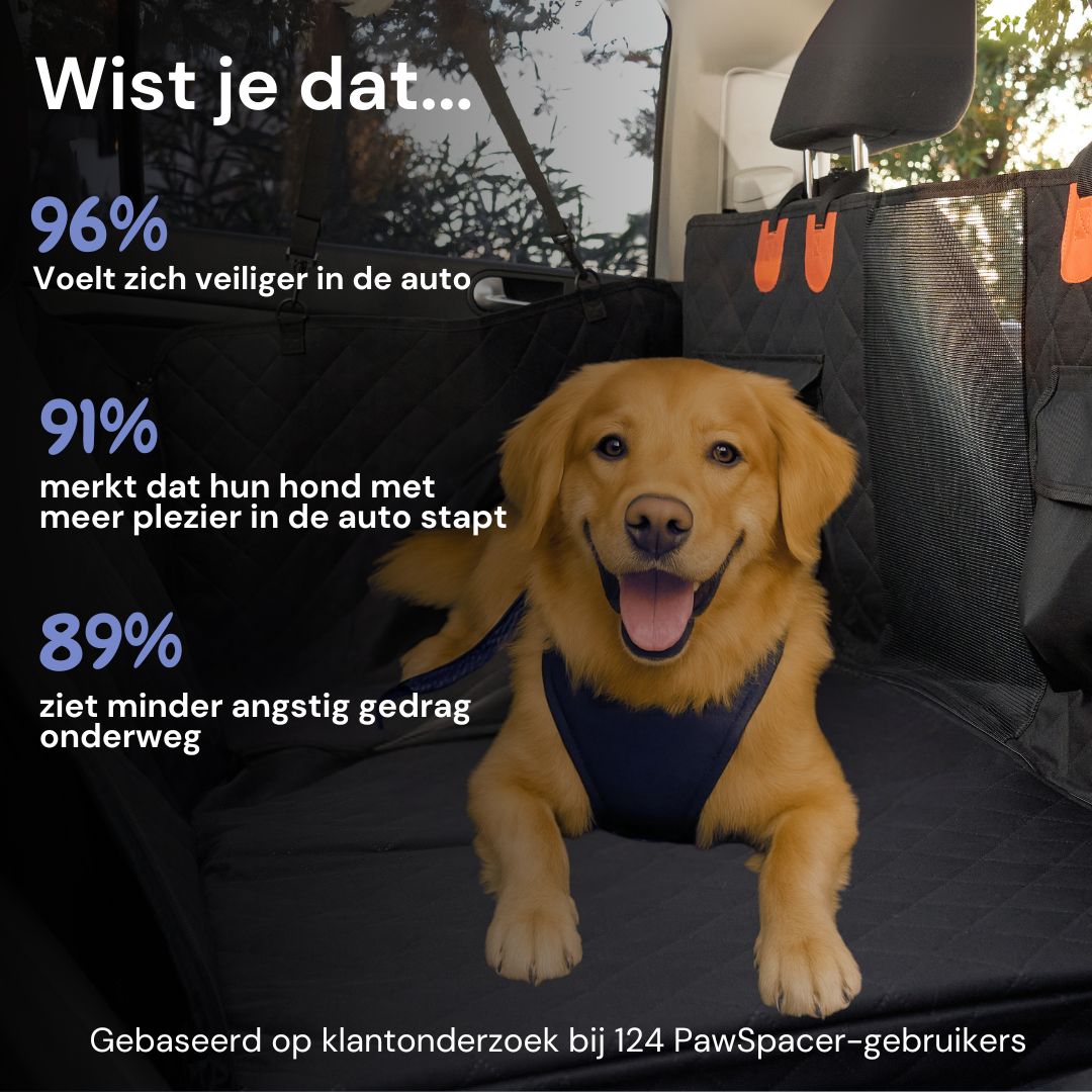 Veilig onderweg met je hond – altijd en overal