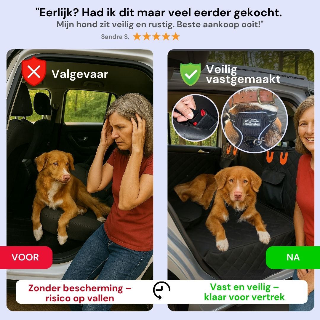 Veilig onderweg met je hond – altijd en overal