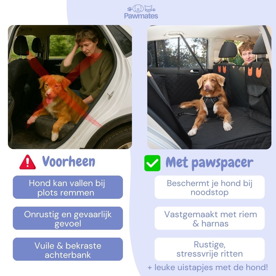 Veilig onderweg met je hond – altijd en overal