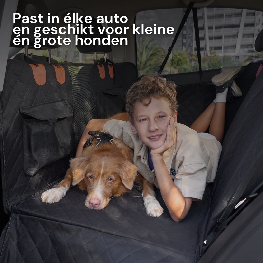 Veilig onderweg met je hond – altijd en overal