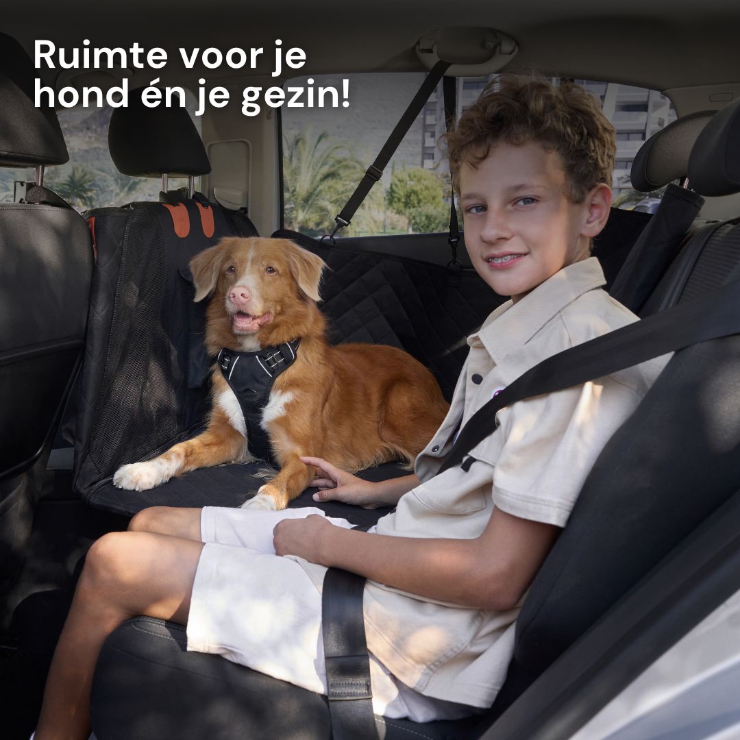 Veilig onderweg met je hond – altijd en overal