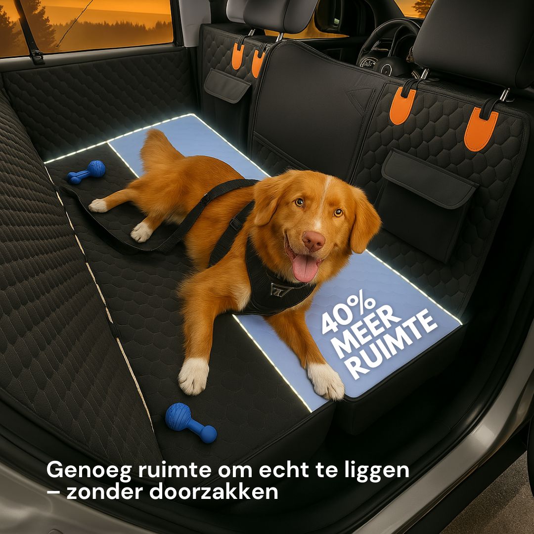 Veilig onderweg met je hond – altijd en overal