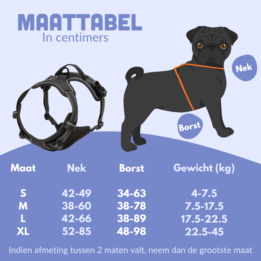 Veilig onderweg met je hond – altijd en overal