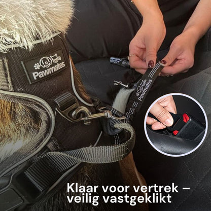 Veilig onderweg met je hond – altijd en overal