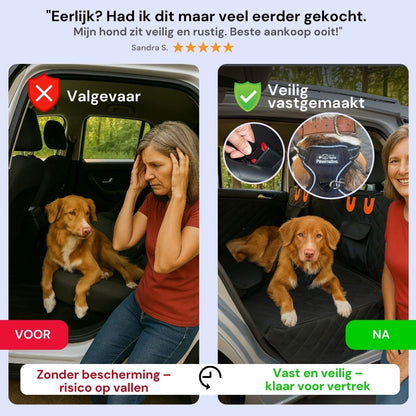 Veilig onderweg met je hond – altijd en overal